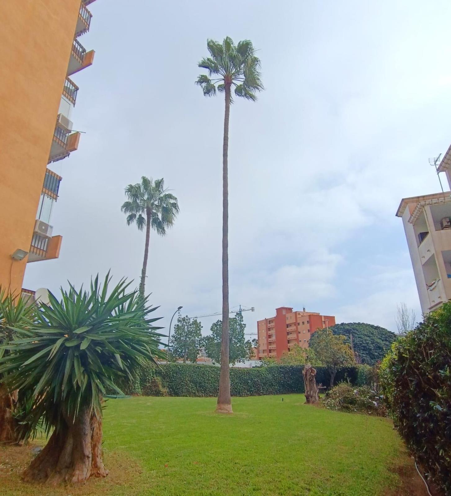With Pool Apartment Benalmadena